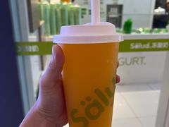 -Salud撒露欧洲冻酸奶(蓝色港湾店)