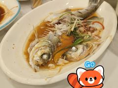 清蒸白丝鱼-状元楼(金溪路店)
