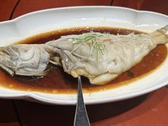 -金狮麟·新豫菜(金码大厦店)