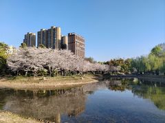 -堤角公园