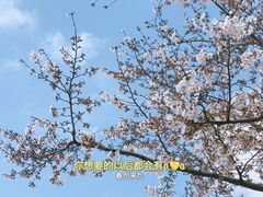 -迪士尼小镇