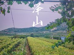 -大泽山风景名胜区