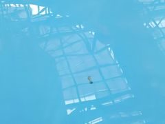 -广州融创水世界