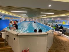 -水贝乐国际水育儿童游泳中心(新业广场店)