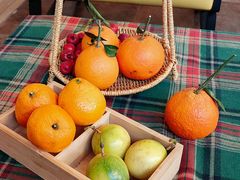 -陶野咖啡·面包披萨