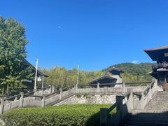 -大唐贡茶院