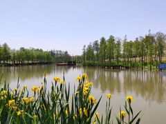 -上海长兴岛郊野公园