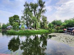 -成飞公园