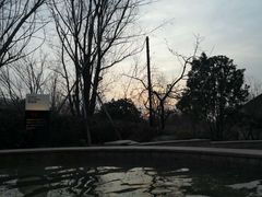 -思念果岭悦温泉