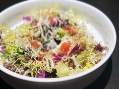 -喜悦烤鸭·新京菜(王府井店)