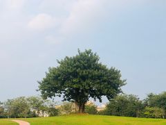 -风云岭森林公园