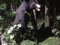 -吉林省自然博物馆