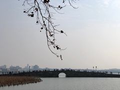 -西湖外事游船(花港观鱼码头)