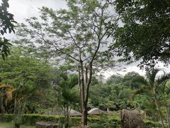 -罗浮山嘉宝田森林温泉度假酒店