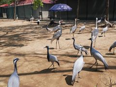 -秦皇岛野生动物园