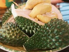 -榴莲BB 四季果园