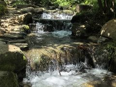 -中国茶叶博物馆(双峰馆区)