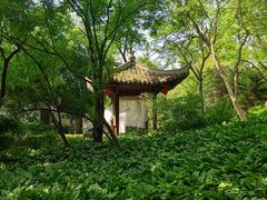 -沈阳植物园