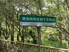 -东明山森林公园