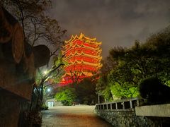 -一棠龙虾•王牌虾球(楚河汉街店)