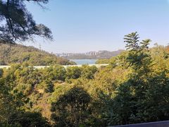 -深圳仙湖植物园