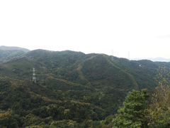 景点-阳台山森林公园