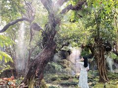 -Chom Cafe and Restaurant