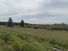 -塞罕坝国家级自然保护区