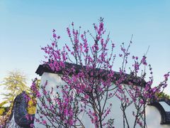 -乌山风景区