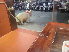 -猪角·闽南猪脚饭(茶亭店)