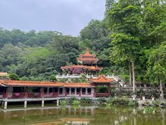 -深圳仙湖植物园