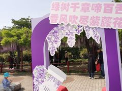 -嘉定紫藤园