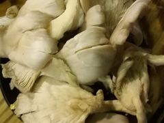 -岗上渣渣老火锅(两路口店)