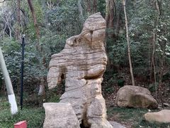 -赭山公园