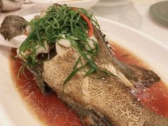 -四海之家(蛇口店)