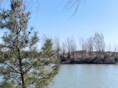 -马家湾湿地公园