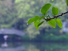 -梅州天地人花园酒店(梅县人民广场店)