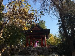 -宣武艺园