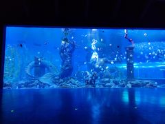 -波塞冬海底世界