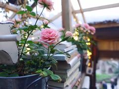 -懒鱼时光馆(沙坪坝店)