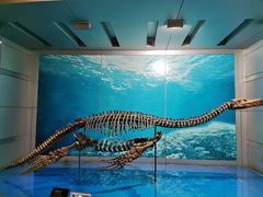 -自贡恐龙博物馆