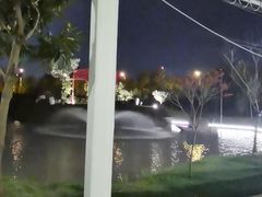 -大队长大灶鹅