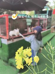 -可可天空农场(中大店)