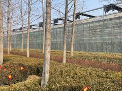 -南宫五洲植物乐园