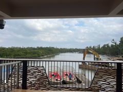 -东寨港红树林旅游区