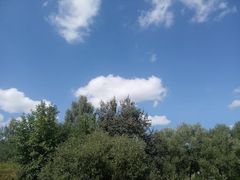 -维乐口腔医院(星海湾分院)