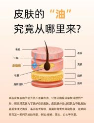 点击看大图 -玛莲朵·海菲秀冰珀科