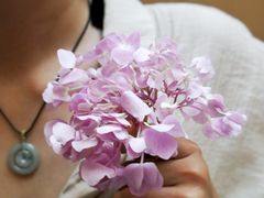 -回龙观体育文化公园