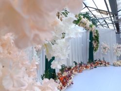 -保定金沙芝柏婚礼策划