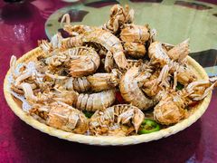 椒盐濑尿虾-隆都四季香饭店(碧海路店)